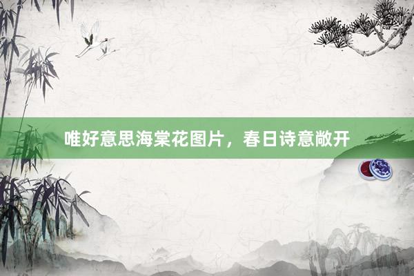 唯好意思海棠花图片，春日诗意敞开