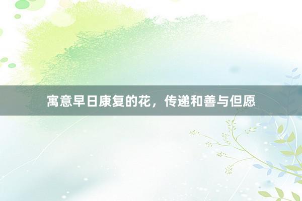 寓意早日康复的花，传递和善与但愿