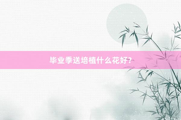 毕业季送培植什么花好？